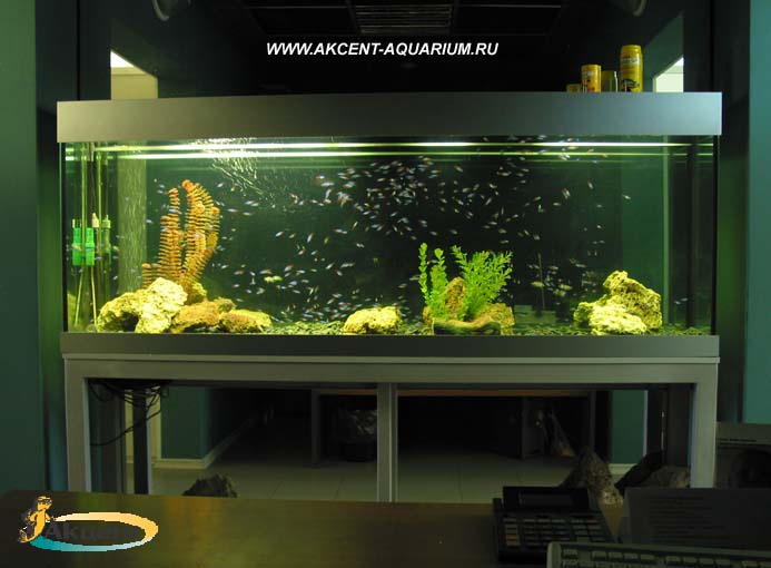 Акцент-аквариум,аквариум-ширма,длинной 2 метра с неонами